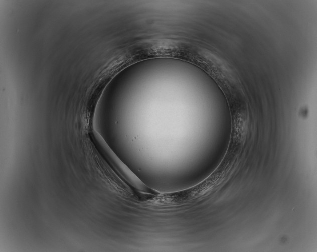 X0000098170278200804241202