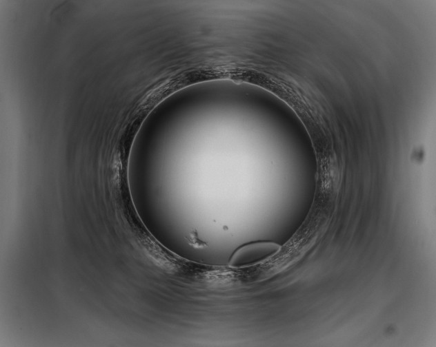 X0000098170279200804241202