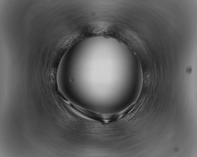 X0000098170280200804241202