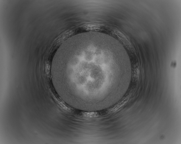 X0000098170281200804241202