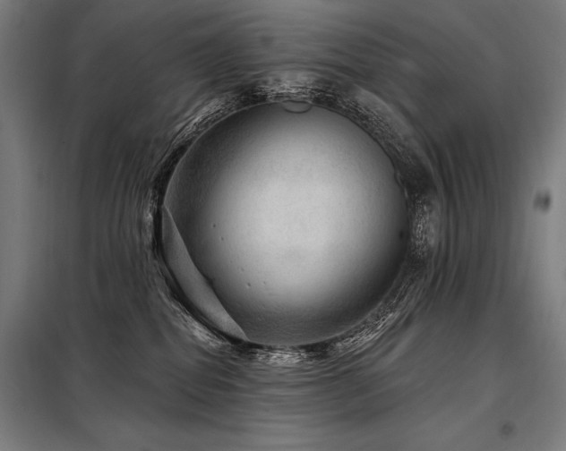 X0000098170282200804241203