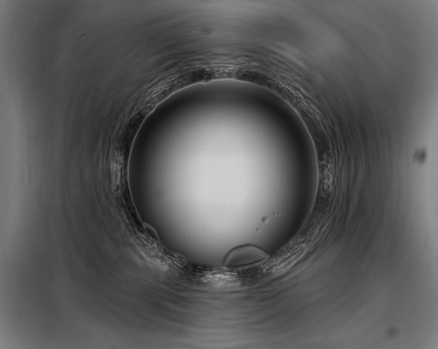 X0000098170283200804241203