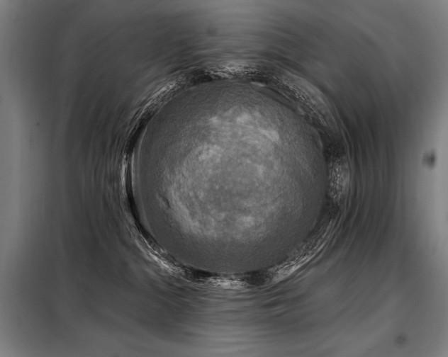 X0000098170284200804241203