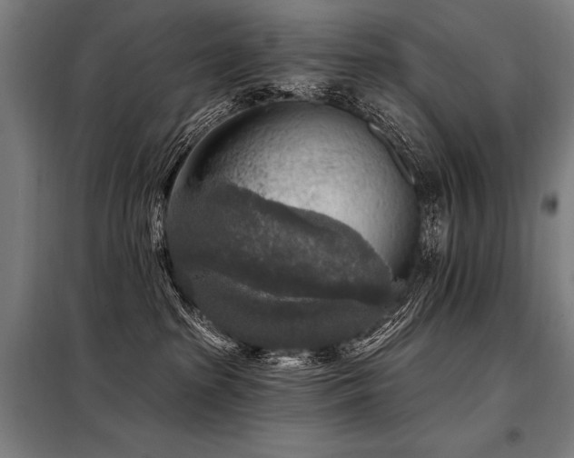 X0000098170285200804241203