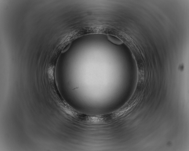 X0000098170286200804241203