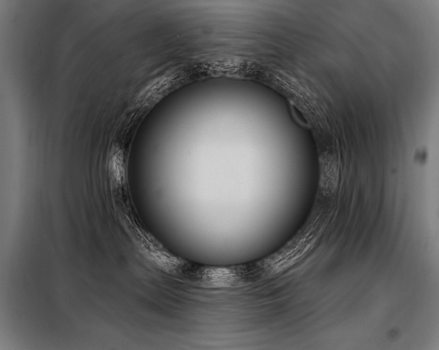 X0000098170287200804241203