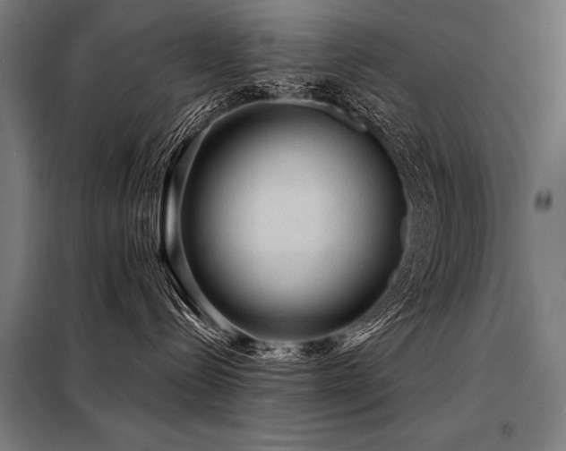 X0000098170288200804241203