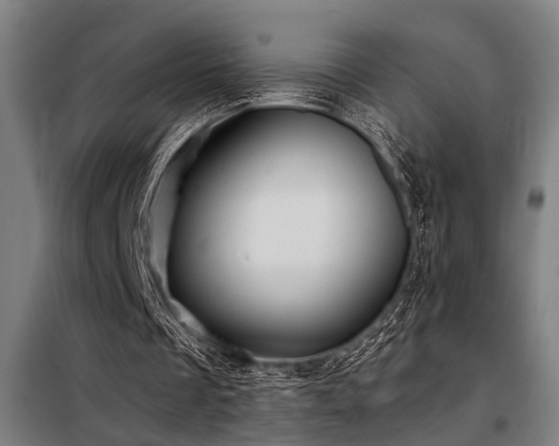 X0000098170289200804241202