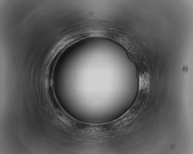 X0000098170291200804241202