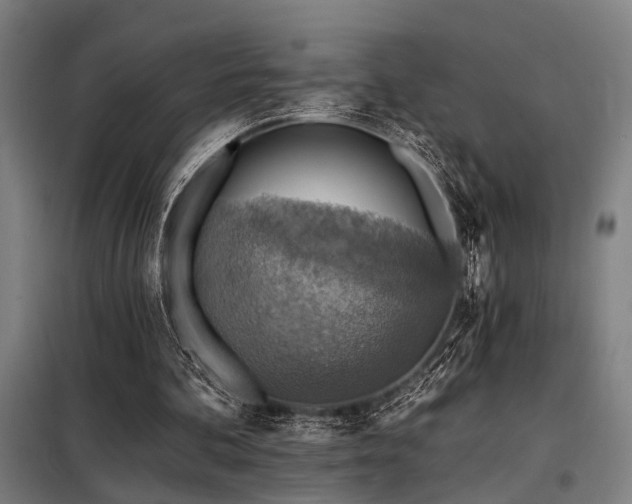 X0000098170292200804241202