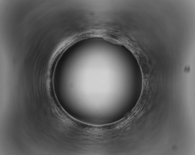 X0000098170293200804241202