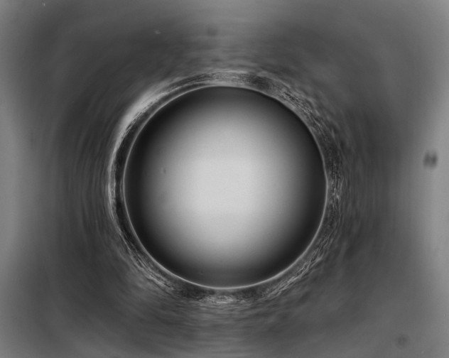 X0000098170294200804241202