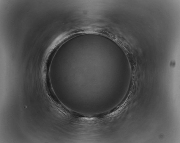 X0000098170295200804241202