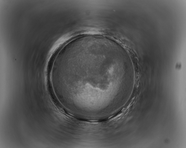 X0000098170296200804241202