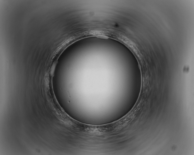 X0000098170297200804241202