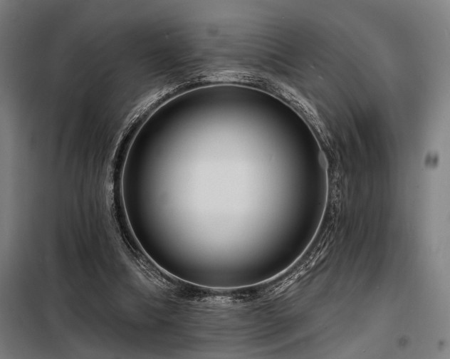 X0000098170298200804241202