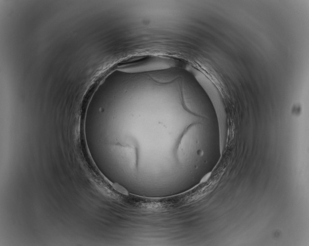 X0000098170301200804241202