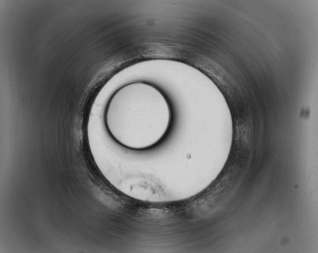 X0000098170302200804241202