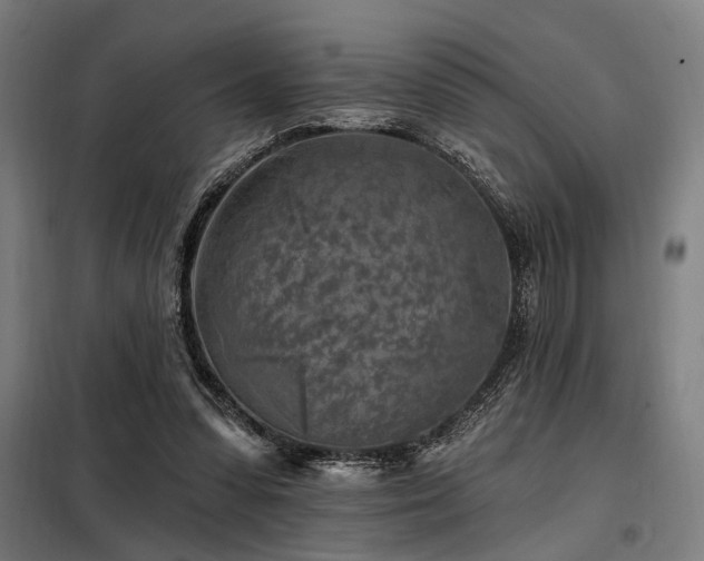 X0000098170303200804241202