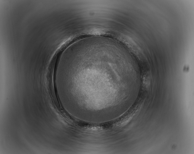 X0000098170304200804241202