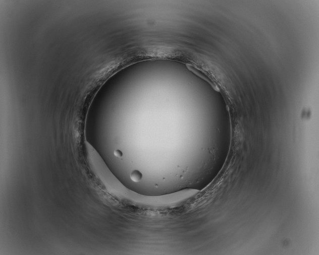 X0000098170305200804241202