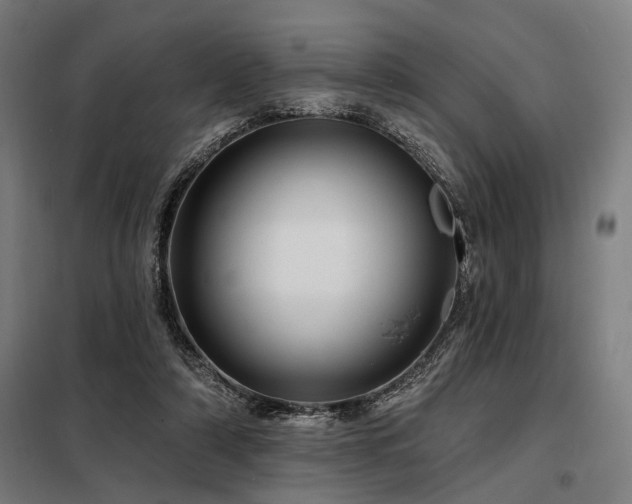 X0000098170306200804241202