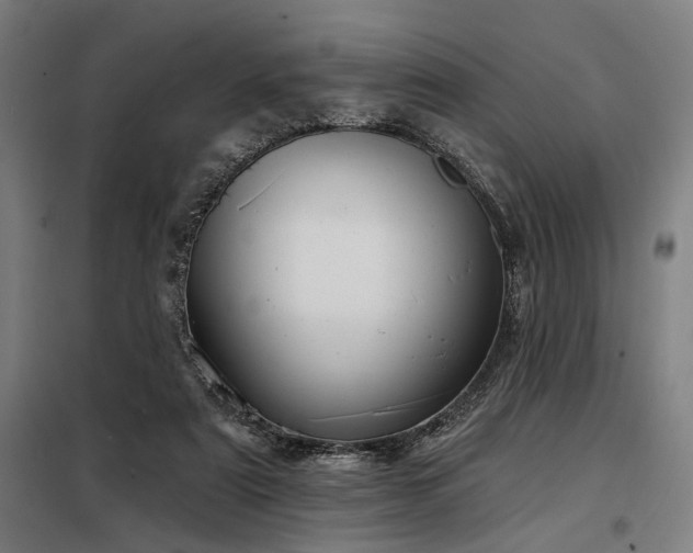 X0000098170307200804241202