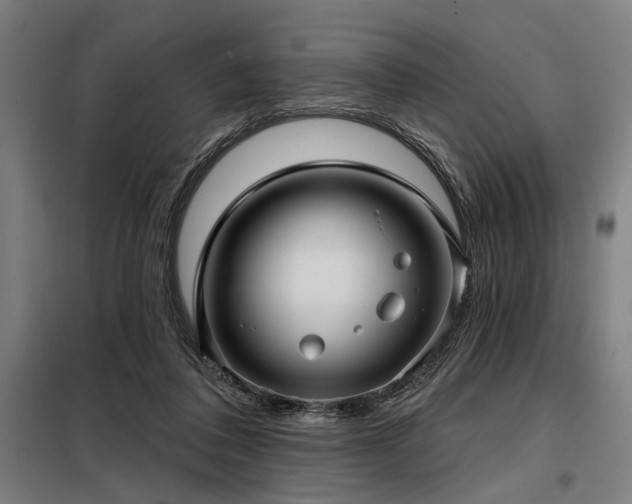 X0000098170308200804241202