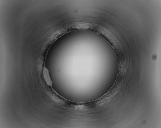 X0000098170309200804241202