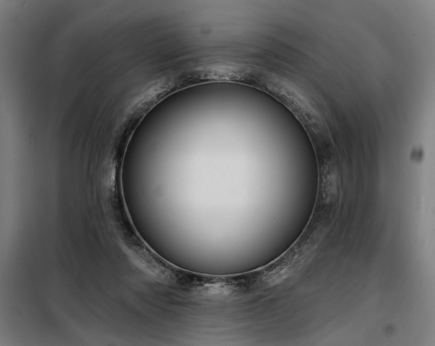 X0000098170310200804241202