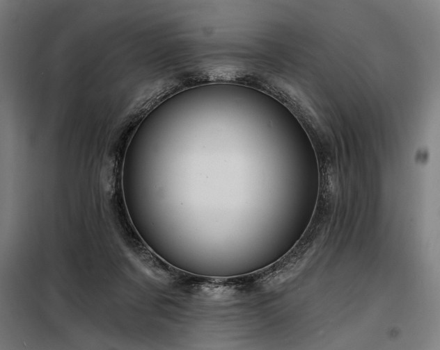 X0000098170311200804241202