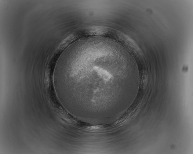 X0000098170312200804241202