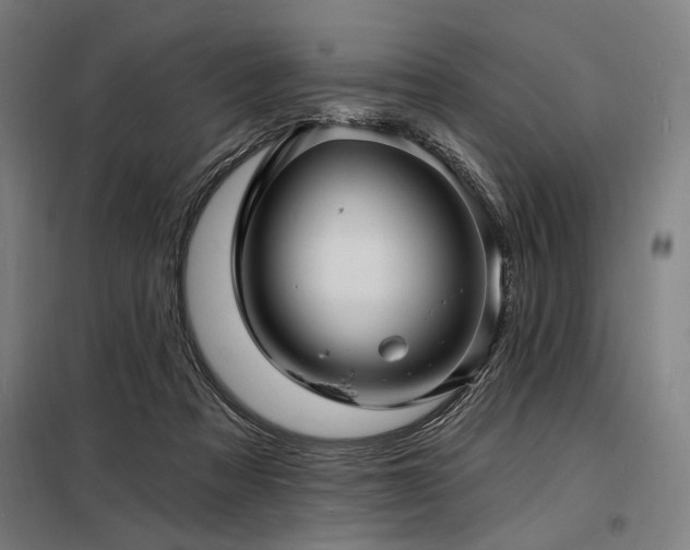 X0000098170313200804241202