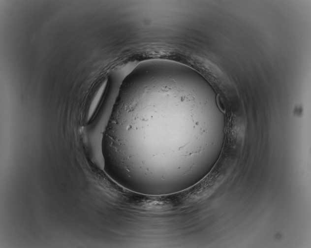 X0000098170315200804241202