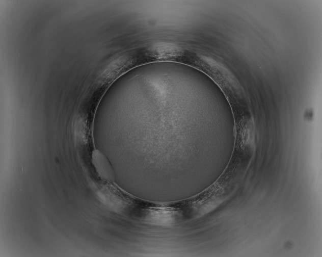 X0000098170316200804241202