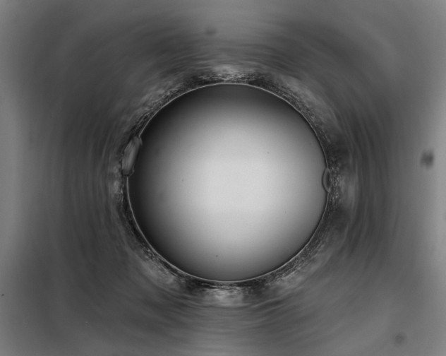 X0000098170317200804241202