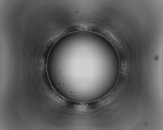 X0000098170318200804241201