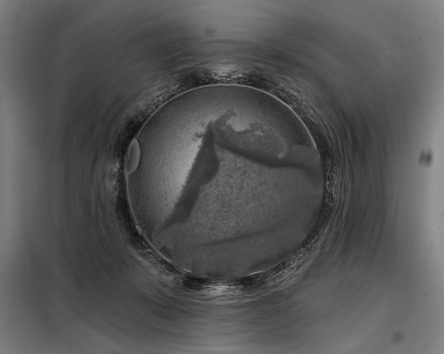 X0000098170319200804241201