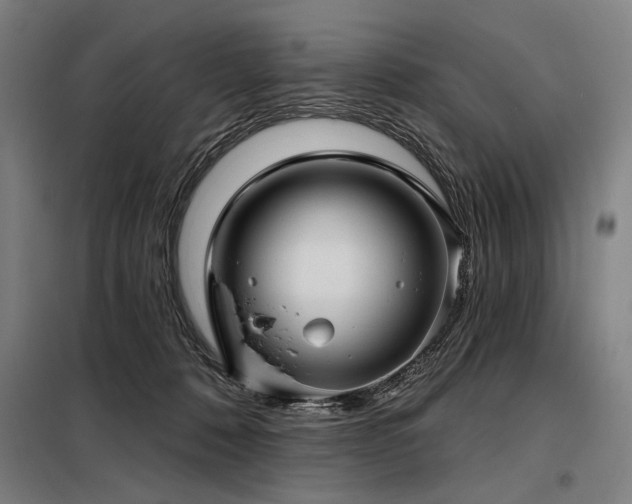 X0000098170320200804241201