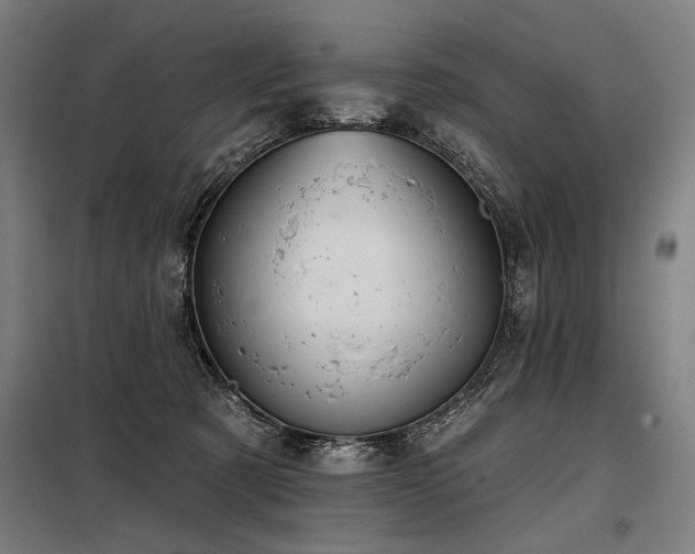 X0000098170321200804241201