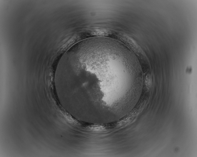 X0000098170322200804241201