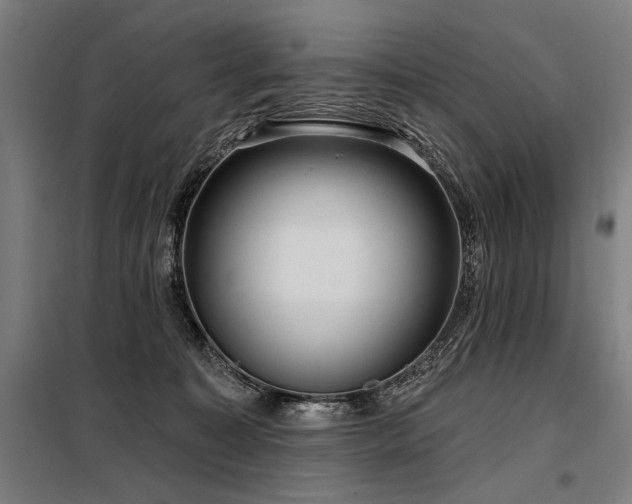 X0000098170323200804241201