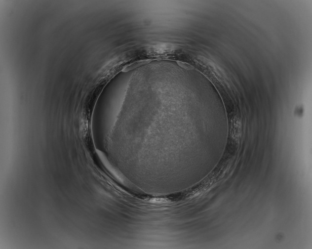 X0000098170324200804241201