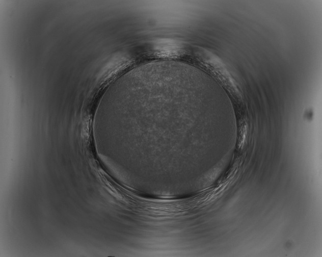 X0000098170325200804241201