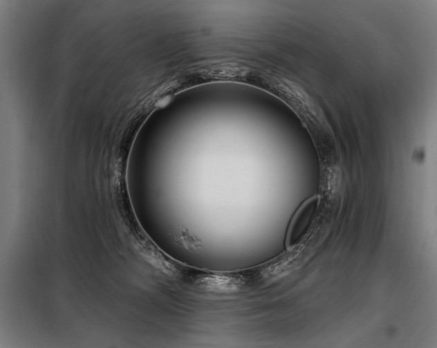 X0000098170326200804241201