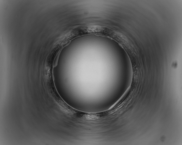 X0000098170327200804241201