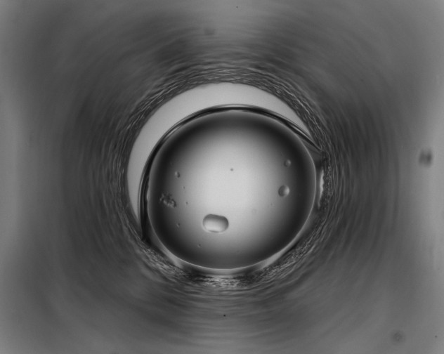 X0000098170328200804241201