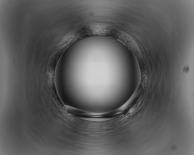 X0000098170329200804241201