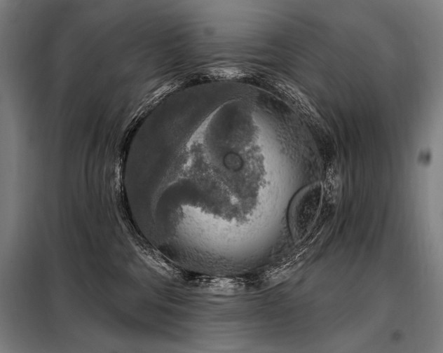 X0000098170330200804241201