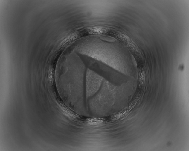 X0000098170331200804241201